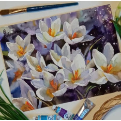 Оксана Кудряшова. Белоснежные крокусы. Акварель, 30х40 см