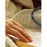 В Норвегии Библия в современном переводе стала бестселлером