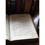 Новая русская Библия: «pro»