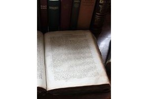 Новая русская Библия: «pro»
