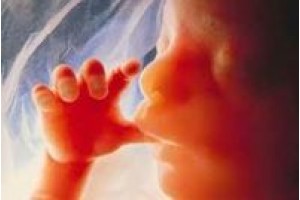 - 01.03 Интернет-конференция: «Проблема абортов и христианское отношение к ней»